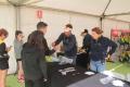 Desafio-Trail-6