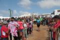2_Desafio-8-Isla-80