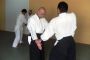 CursoAikido_Wazaari6abril1