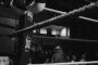 2014boxeo59