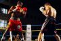 2014boxeo74