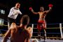 2014boxeo88