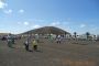 Final Abuelos Conejeros 2012