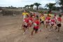 1ª Jornada de Campo a Través 03/11/2012