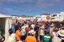 TnELRIO 2013