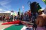 TnELRIO 2013