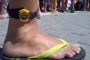 TnELRIO 2013