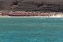 TnELRIO 2013