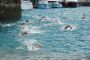 TnELRIO 2013
