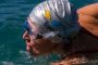 TnELRIO 2013