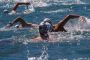 TnELRIO 2013