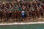 TnELRIO 2013