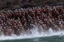 TnELRIO 2013