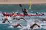 TnELRIO 2013