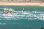 TnELRIO 2013