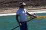 TnELRIO 2013