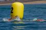 TnELRIO 2013