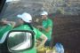 Voluntarios P. A.