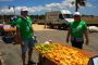 Voluntarios P. A.