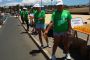 Voluntarios P. A.