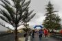WineRun Lz 2013