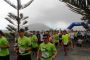 WineRun Lz 2013
