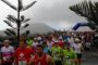 WineRun Lz 2013